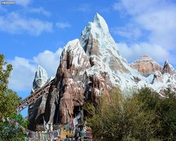 Florida - Orlando - Animal Kingdom