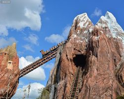 Florida - Orlando - Animal Kingdom