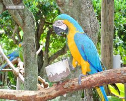 Florida - Orlando - Gatorland