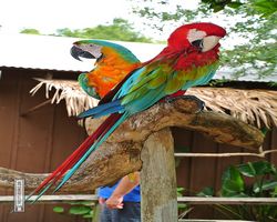 Florida - Orlando - Gatorland