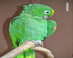 Florida - Orlando - Gatorland