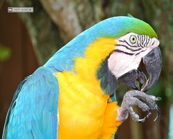 Florida - Orlando - Gatorland
