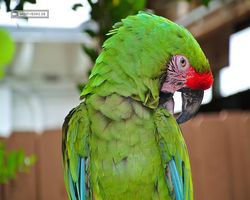 Florida - Orlando - Gatorland