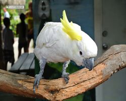 Florida - Orlando - Gatorland