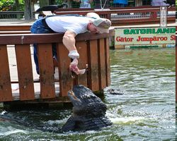 Florida - Orlando - Gatorland