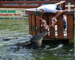 Florida - Orlando - Gatorland