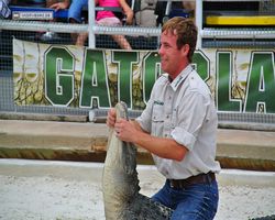 Florida - Orlando - Gatorland