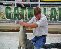 Florida - Orlando - Gatorland
