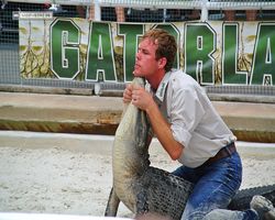 Florida - Orlando - Gatorland