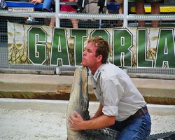 Florida - Orlando - Gatorland