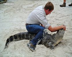 Florida - Orlando - Gatorland