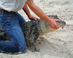 Florida - Orlando - Gatorland