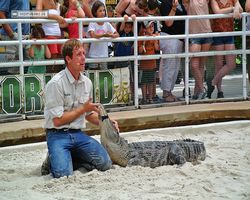 Florida - Orlando - Gatorland