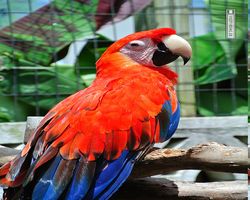 Florida - Orlando - Gatorland