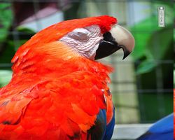 Florida - Orlando - Gatorland