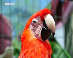Florida - Orlando - Gatorland