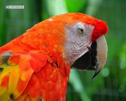 Florida - Orlando - Gatorland