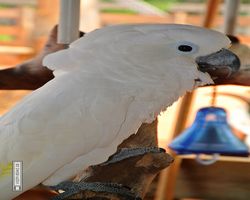 Florida - Orlando - Gatorland