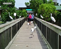 Florida - Orlando - Gatorland