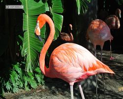 Florida - Orlando - SeaWorld