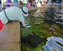 Florida - Orlando - SeaWorld