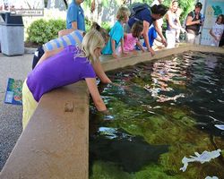 Florida - Orlando - SeaWorld