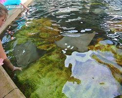 Florida - Orlando - SeaWorld