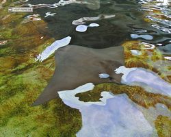 Florida - Orlando - SeaWorld