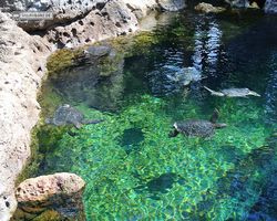 Florida - Orlando - SeaWorld