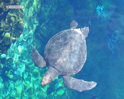 Florida - Orlando - SeaWorld