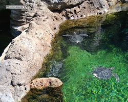 Florida - Orlando - SeaWorld