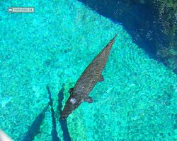 Florida - Orlando - SeaWorld