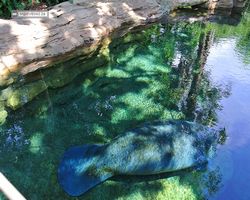 Florida - Orlando - SeaWorld