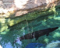 Florida - Orlando - SeaWorld