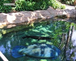 Florida - Orlando - SeaWorld