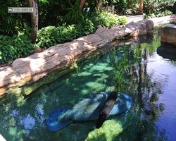 Florida - Orlando - SeaWorld