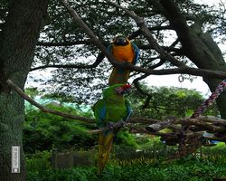 Florida - Orlando - SeaWorld