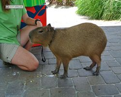 Florida - Orlando - SeaWorld