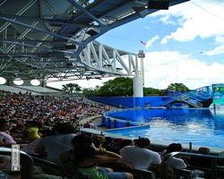 Florida - Orlando - SeaWorld