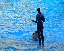 Florida - Orlando - SeaWorld