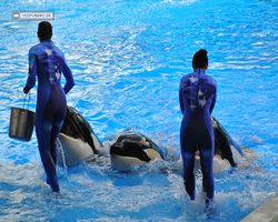 Florida - Orlando - SeaWorld