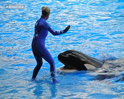 Florida - Orlando - SeaWorld