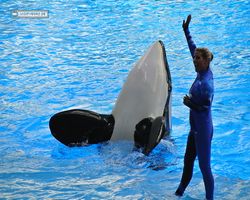 Florida - Orlando - SeaWorld