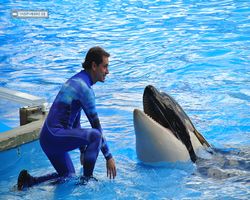 Florida - Orlando - SeaWorld