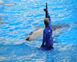 Florida - Orlando - SeaWorld