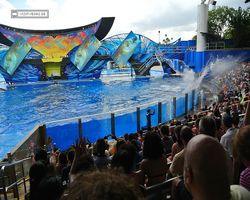 Florida - Orlando - SeaWorld