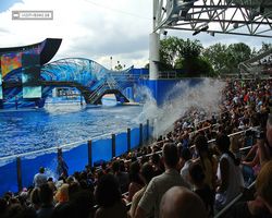 Florida - Orlando - SeaWorld