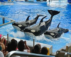 Florida - Orlando - SeaWorld