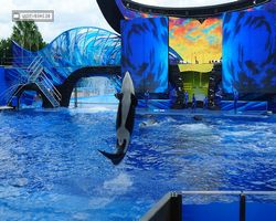 Florida - Orlando - SeaWorld