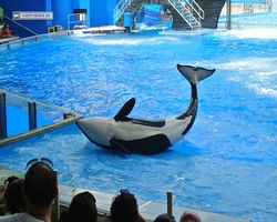 Florida - Orlando - SeaWorld